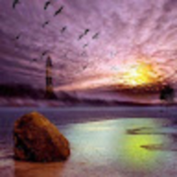 Meet your Posher, Denise - Picture 1 of 1